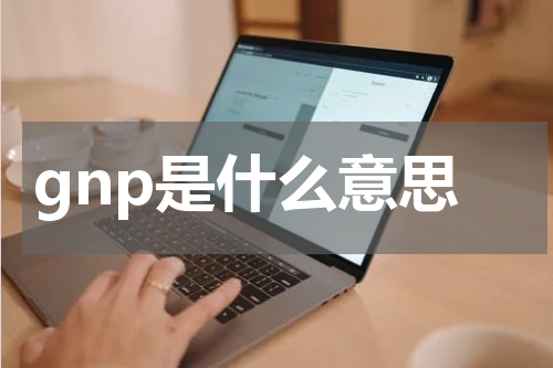 gnp是什么意思