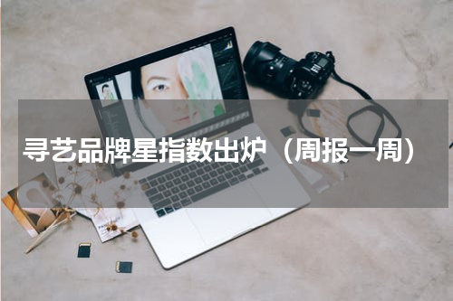 寻艺品牌星指数出炉（周报一周）