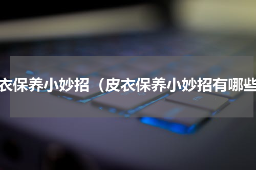 皮衣保养小妙招（皮衣保养小妙招有哪些）