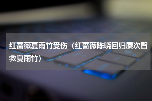 红蔷薇夏雨竹受伤（红蔷薇陈晓回归屡次智救夏雨竹）