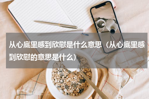 从心底里感到欣慰是什么意思（从心底里感到欣慰的意思是什么）