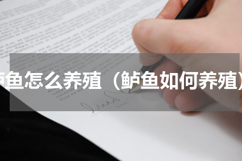 鲈鱼怎么养殖（鲈鱼如何养殖）