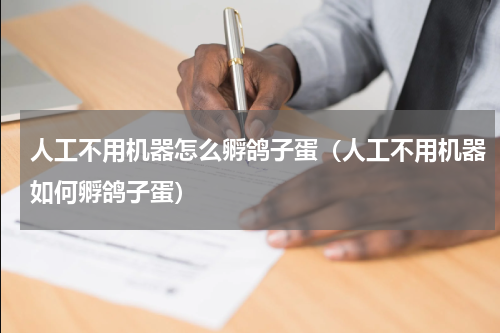 人工不用机器怎么孵鸽子蛋（人工不用机器如何孵鸽子蛋）