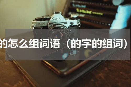 的怎么组词语（的字的组词）