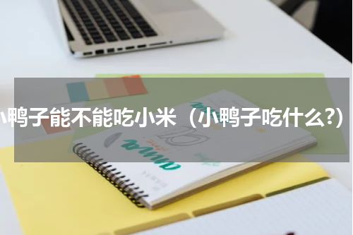 小鸭子能不能吃小米（小鸭子吃什么?）