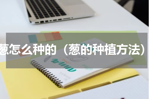 葱怎么种的（葱的种植方法）