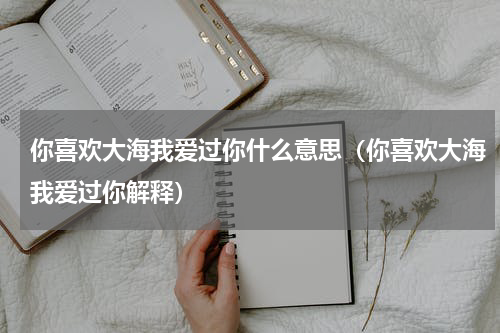你喜欢大海我爱过你什么意思（你喜欢大海我爱过你解释）