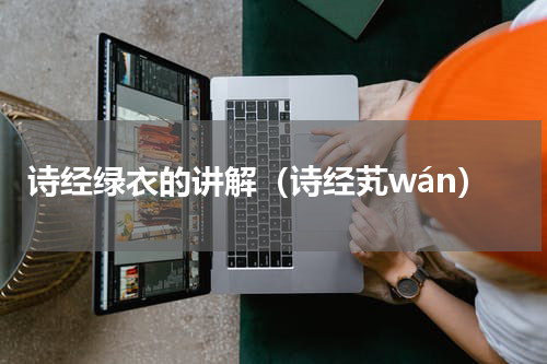 诗经绿衣的讲解（诗经芄wán）