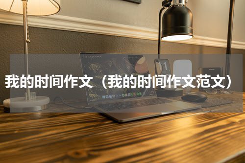 我的时间作文（我的时间作文范文）