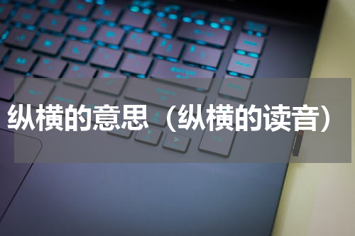 纵横的意思（纵横的读音）