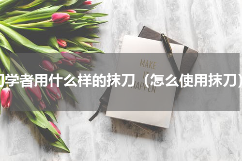 初学者用什么样的抹刀（怎么使用抹刀）