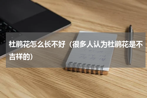 杜鹃花怎么长不好（很多人认为杜鹃花是不吉祥的）