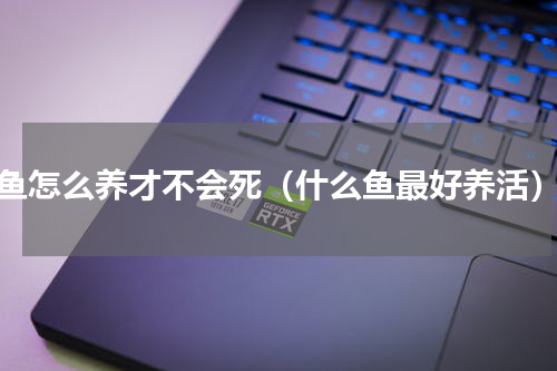 鱼怎么养才不会死（什么鱼最好养活）