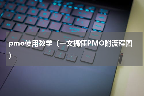 pmo使用教学（一文搞懂PMO附流程图）