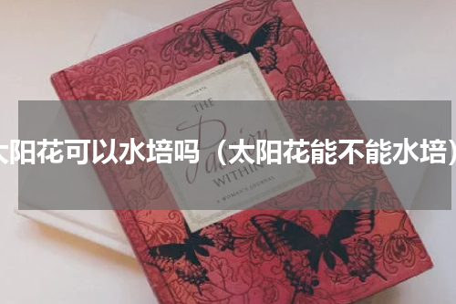 太阳花可以水培吗（太阳花能不能水培）