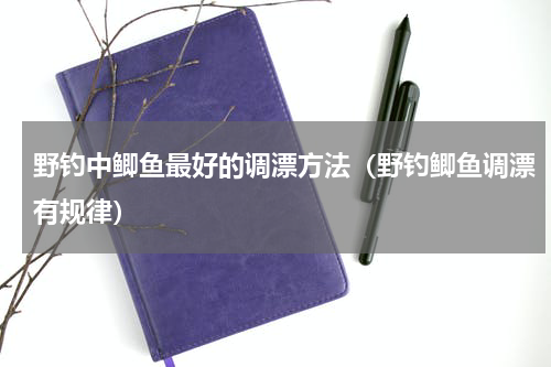 野钓中鲫鱼最好的调漂方法（野钓鲫鱼调漂有规律）