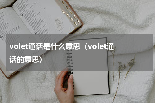 volet通话是什么意思（volet通话的意思）