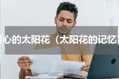 暖心的太阳花（太阳花的记忆）