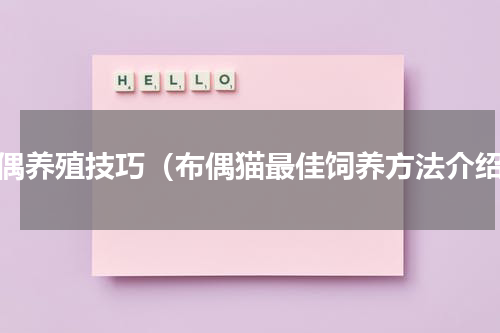 布偶养殖技巧（布偶猫最佳饲养方法介绍）