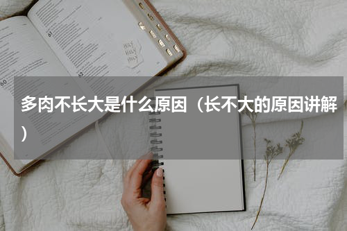 多肉不长大是什么原因（长不大的原因讲解）