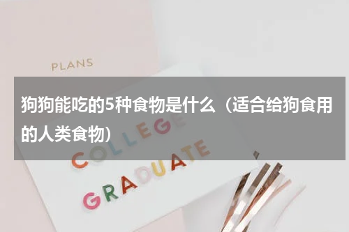 狗狗能吃的5种食物是什么（适合给狗食用的人类食物）
