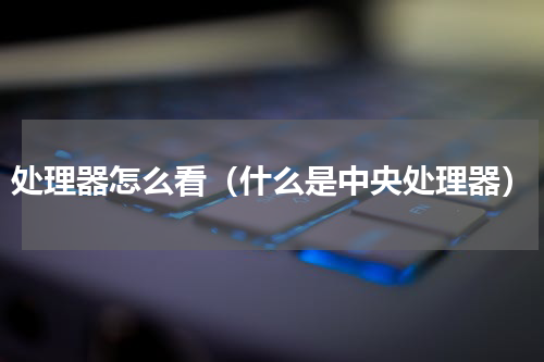 处理器怎么看（什么是中央处理器）