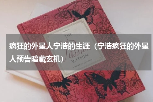 疯狂的外星人宁浩的生涯（宁浩疯狂的外星人预告暗藏玄机）