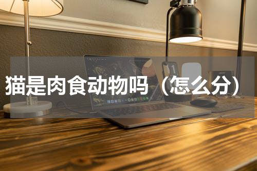 猫是肉食动物吗（怎么分）