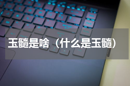 玉髓是啥（什么是玉髓）