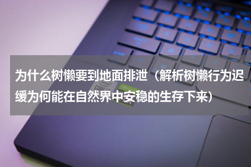 为什么树懒要到地面排泄（解析树懒行为迟缓为何能在自然界中安稳的生存下来）