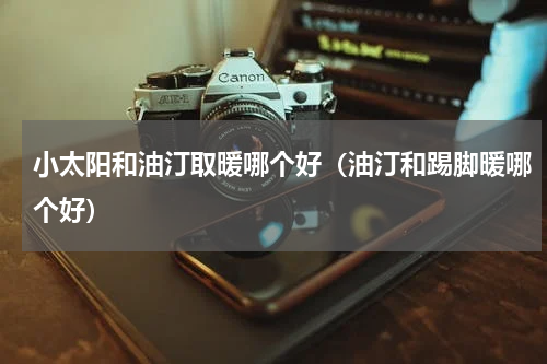 小太阳和油汀取暖哪个好（油汀和踢脚暖哪个好）