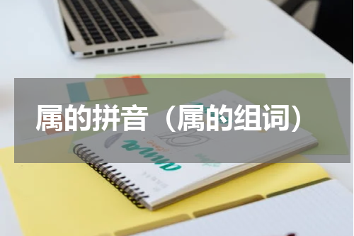 属的拼音（属的组词）