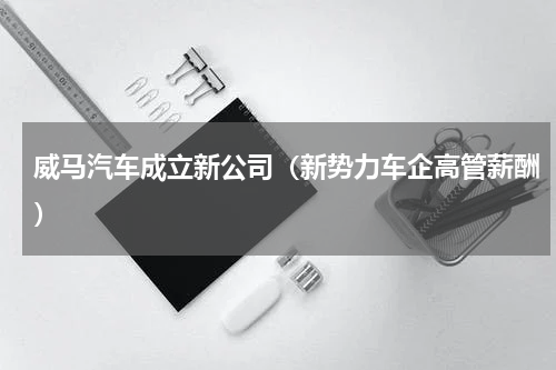 威马汽车成立新公司（新势力车企高管薪酬）
