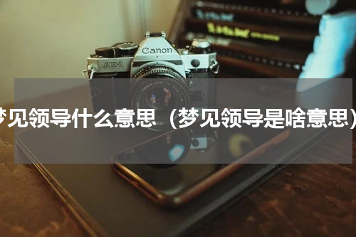 梦见领导什么意思（梦见领导是啥意思）