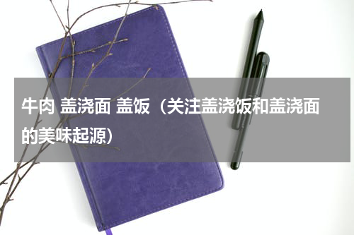 牛肉 盖浇面 盖饭（关注盖浇饭和盖浇面的美味起源）