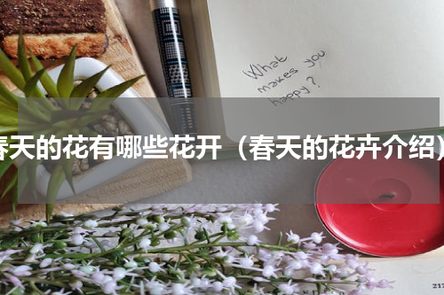 春天的花有哪些花开（春天的花卉介绍）