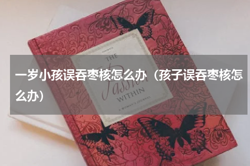 一岁小孩误吞枣核怎么办（孩子误吞枣核怎么办）