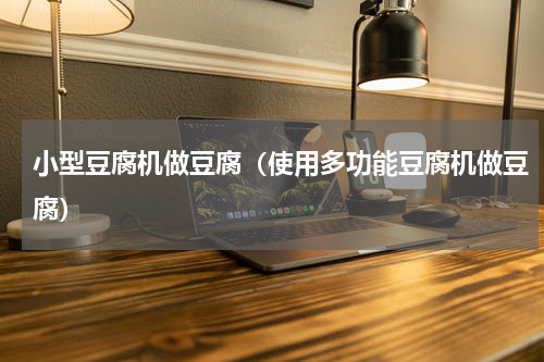 小型豆腐机做豆腐（使用多功能豆腐机做豆腐）