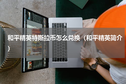 和平精英特斯拉币怎么兑换（和平精英简介）