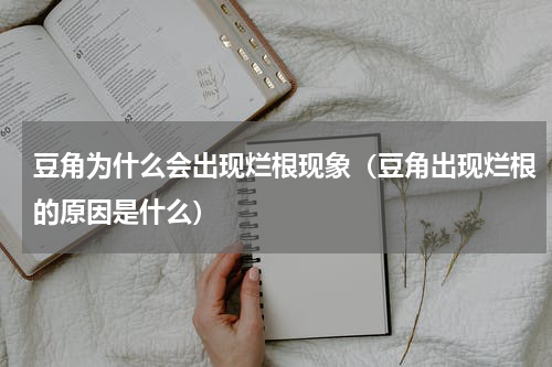 豆角为什么会出现烂根现象（豆角出现烂根的原因是什么）