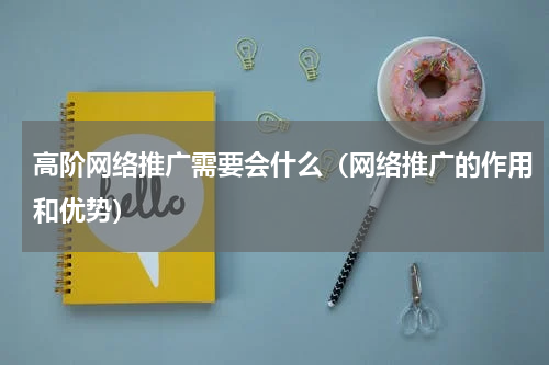 高阶网络推广需要会什么（网络推广的作用和优势）