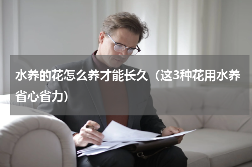 水养的花怎么养才能长久（这3种花用水养省心省力）