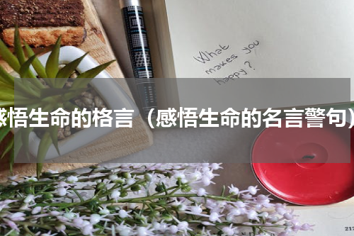 感悟生命的格言（感悟生命的名言警句）