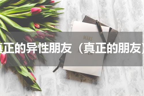 真正的异性朋友（真正的朋友）