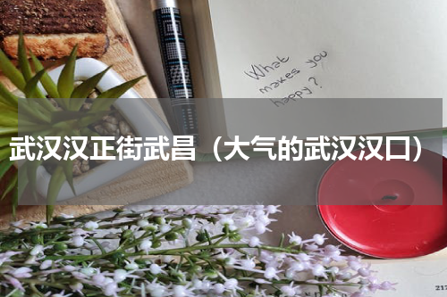 武汉汉正街武昌（大气的武汉汉囗）