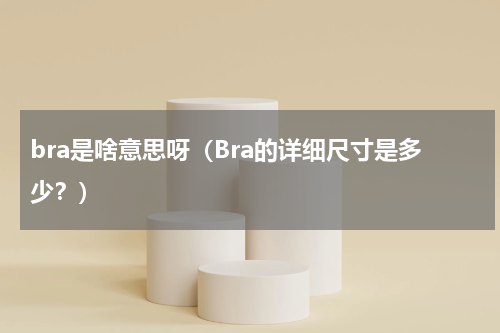 bra是啥意思呀（Bra的详细尺寸是多少？）