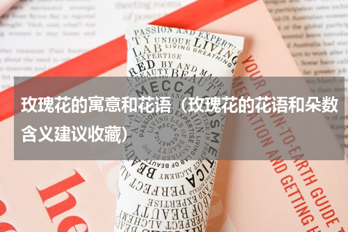 玫瑰花的寓意和花语（玫瑰花的花语和朵数含义建议收藏）
