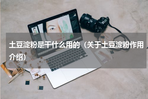 土豆淀粉是干什么用的（关于土豆淀粉作用介绍）