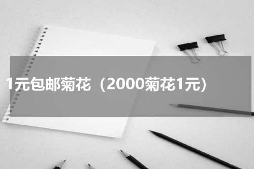 1元包邮菊花（2000菊花1元）