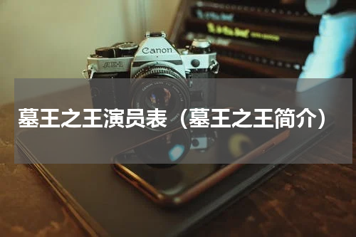 墓王之王演员表（墓王之王简介）